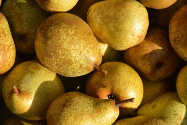 Pera é rica em polifenóis com ação antioxidante. (Foto: Pixabay via Gemini)