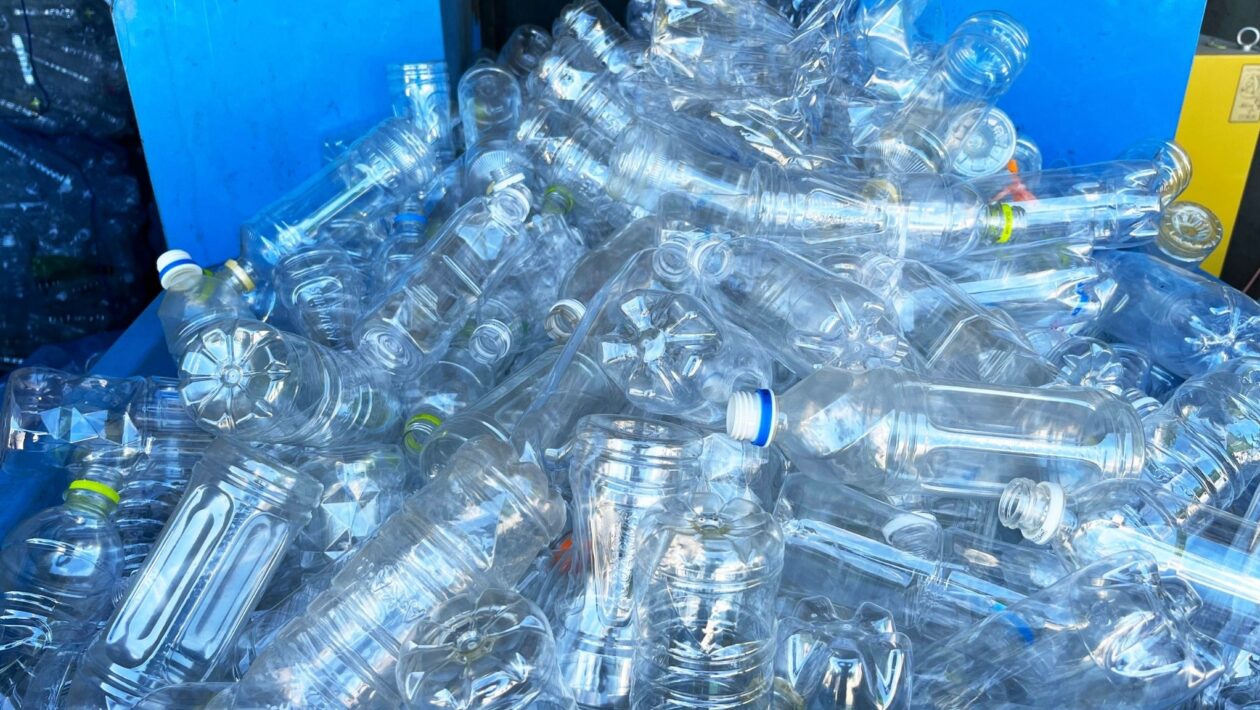 Lixo plástico pode ser usado na produção de L-DOPA. (Foto: Aflo via Canva)