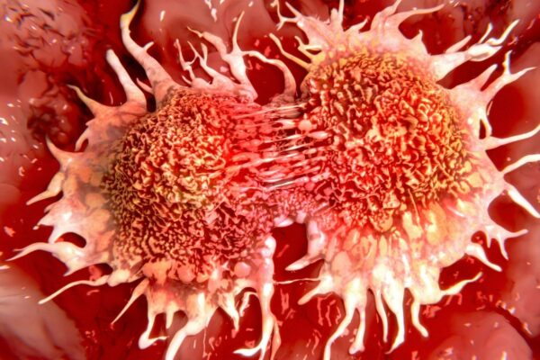 Moléculas da longevidade podem estimular crescimento de câncer. (Foto: Getty Images via Canva)