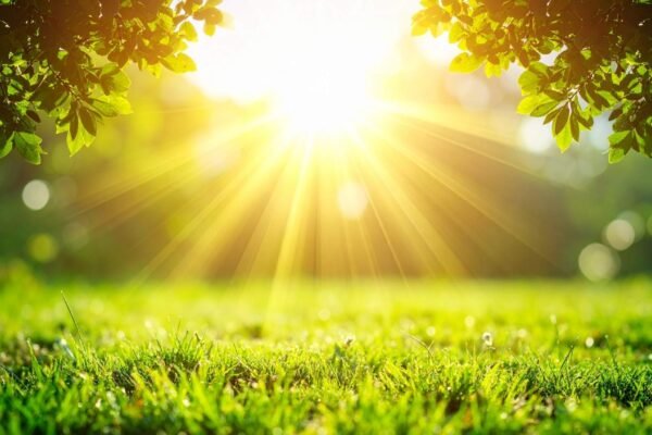 Nova tecnologia pode transformar luz solar em combustível limpo (Imagem: TrueCreatives via Canva)