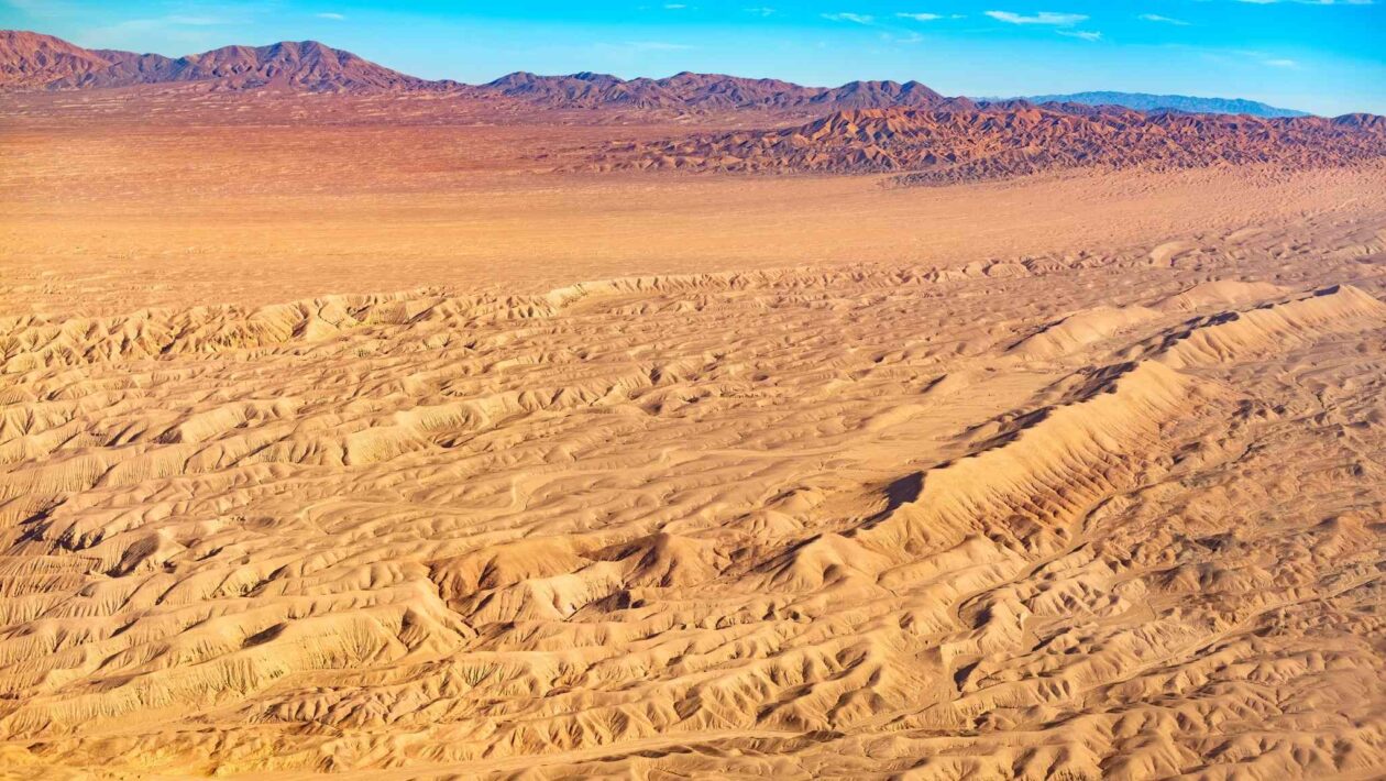 Vida invisível desafia a seca do Atacama (Imagem: Getty Images via Canva)
