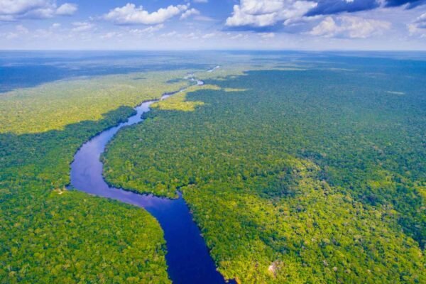 Amazônia enfrenta secas mais longas e aumento do risco de incêndios florestais (Imagem: Getty Images via Canva)