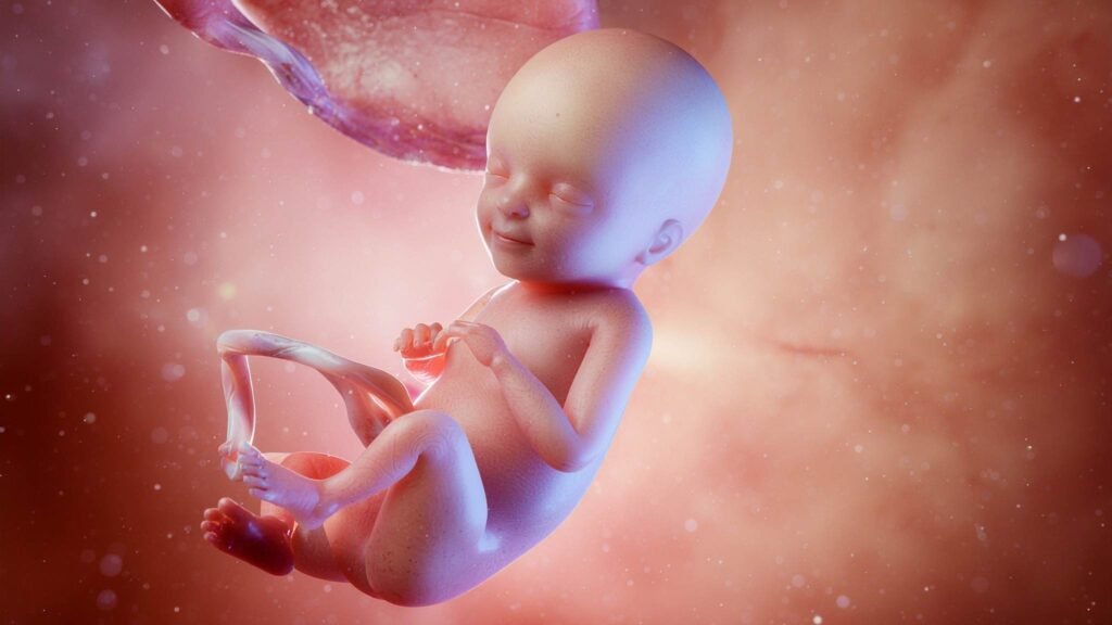 Fóssil revela desenvolvimento acelerado impressionante na infância dos neandertais (Imagem: TrueCreatives via Canva)
