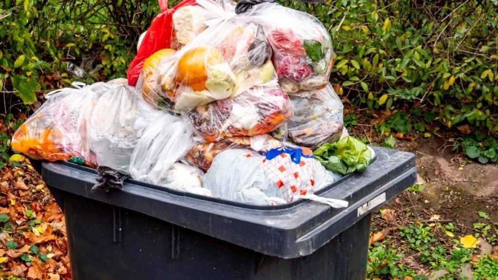 Pequenas atitudes sustentáveis geram grandes mudanças no meio ambiente (Imagem: Getty Images via Canva)
