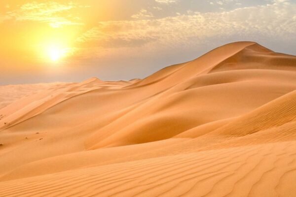 China transforma areia do deserto em solo fértil usando microrganismos (Imagem: Getty Images via Canva)