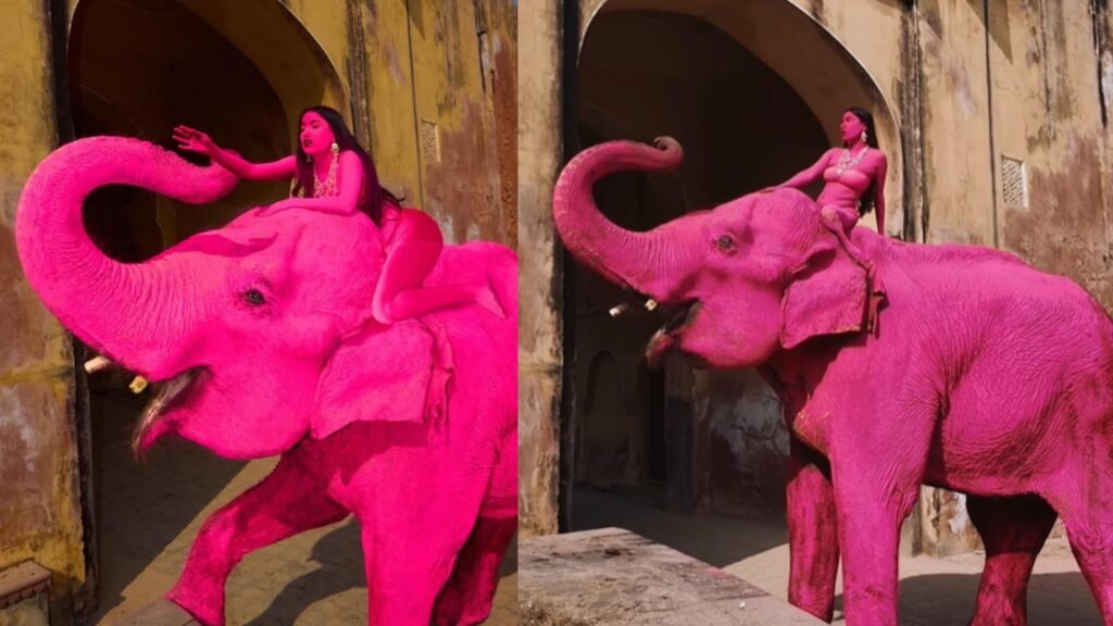 Morte de elefanta expõe realidade do cativeiro e exploração animal (Imagem: @julia.buruleva/Instagram)
