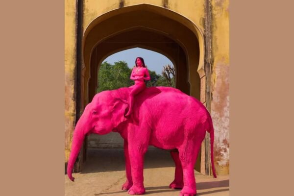 Caso da elefanta reacende debate sobre ética e bem-estar animal (Imagem: @julia.buruleva/Instagram)