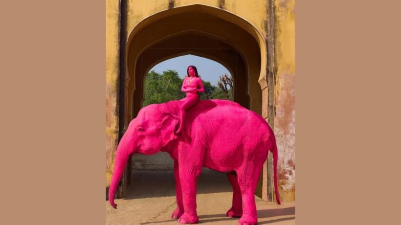 Caso da elefanta reacende debate sobre ética e bem-estar animal (Imagem: @julia.buruleva/Instagram)