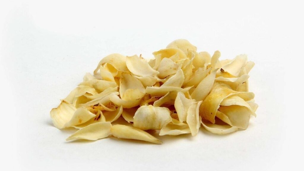 Bulbo de lírio pode reduzir hiperatividade cerebral. (Foto: Reprodução)