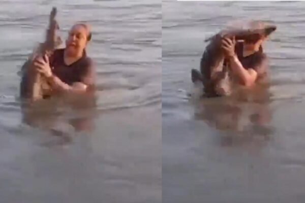 Mulher confunde jacaré com tronco e leva susto impressionante em lagoa no México (Imagem: Reprodução/ X)
