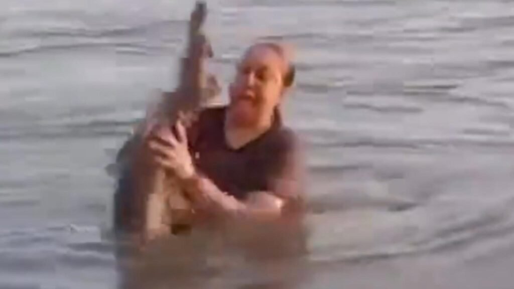 Erro perigoso vira alerta sobre riscos em ambientes naturais e animais silvestres (Imagem: Reprodução/ X)
