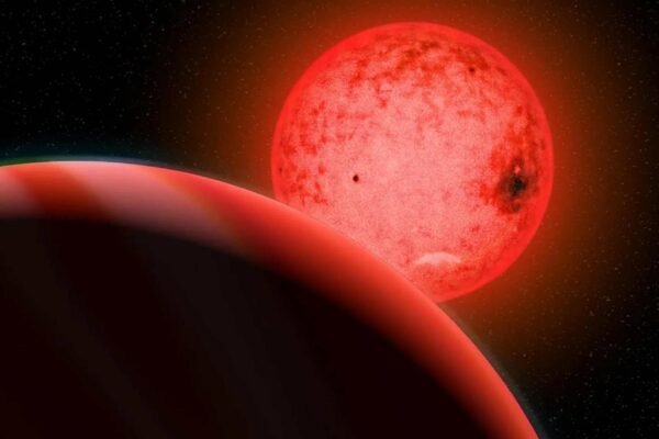 Ilustração mostra TOI-5205 b, gigante gasoso, orbitando uma anã vermelha fria (Imagem: Katherine Cain, Carnegie Institution for Science)