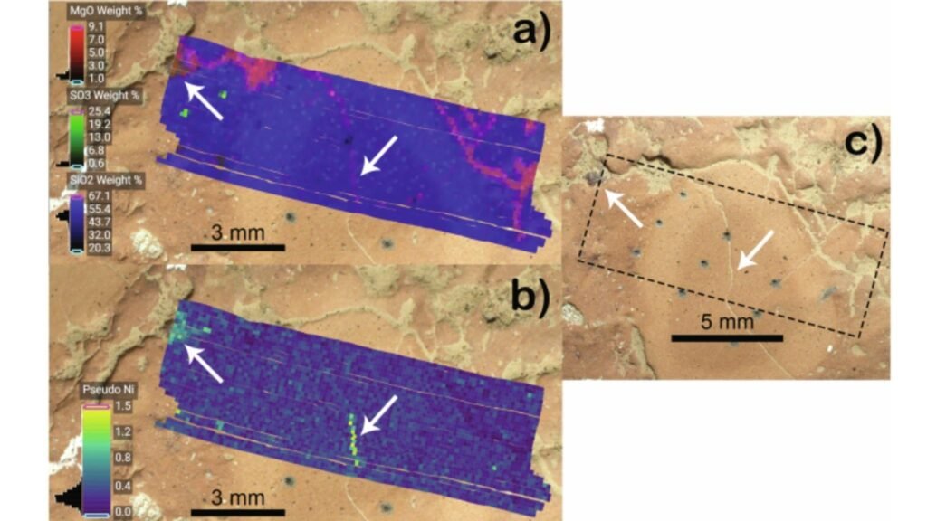 Mapas PIXL revelam sulfato de magnésio e áreas ricas em níquel, destacadas por setas (Imagem: NASA/JPL-Caltech/ Nature Communications, 2026)