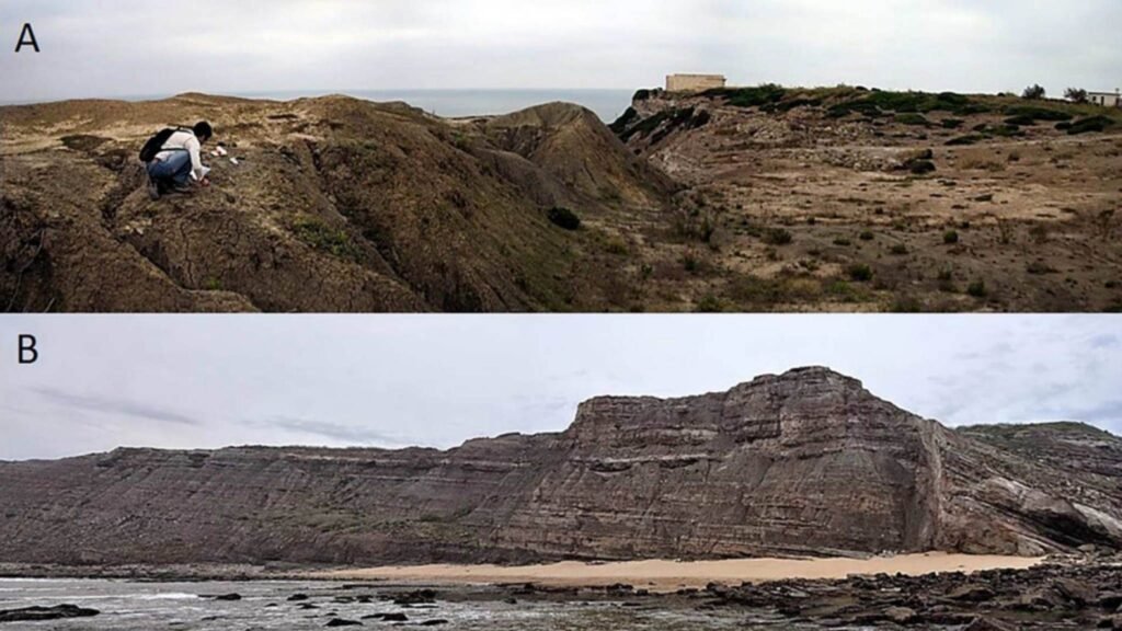 Afloramentos da Formação Lourinhã: Paimogo ao norte e Cambelas ao sul, em diferentes membros (Imagem: Russo J, Mateus O, Marzola M, Balbino A (2017) PLoS ONE)