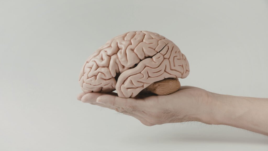 Perda de peso ativa inflamação cerebral temporária. (Foto: Narcisa Olteanu's Images via Canva)