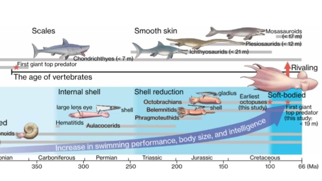 Modelo mostra como mandíbulas e redução do esqueleto ajudaram predadores marinhos a evoluir (Imagem: Shin Ikegami et al., Science)
