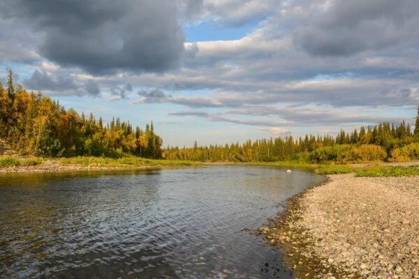 Rios aquecidos estão liberando mais gases de efeito estufa no planeta. (Imagem: Getty Images via Canva)
