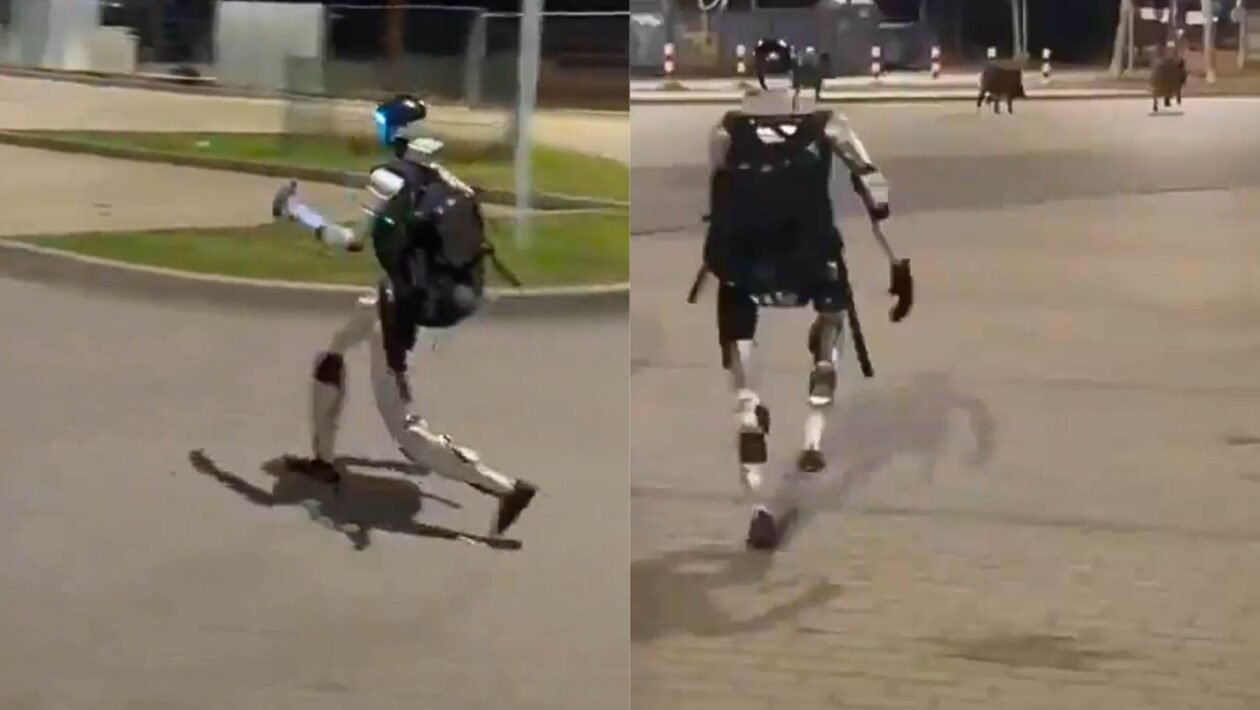 Robô humanoide afasta javalis em área urbana durante a noite na Europa (Imagem: Reprodução/ Redes sociais)