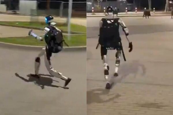 Robô humanoide afasta javalis em área urbana durante a noite na Europa (Imagem: Reprodução/ Redes sociais)
