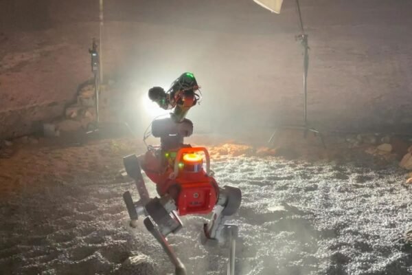 Robô semiautônomo analisa rochas em Marte com rapidez e precisão inéditas (Imagem: Tomaso Bontognali)