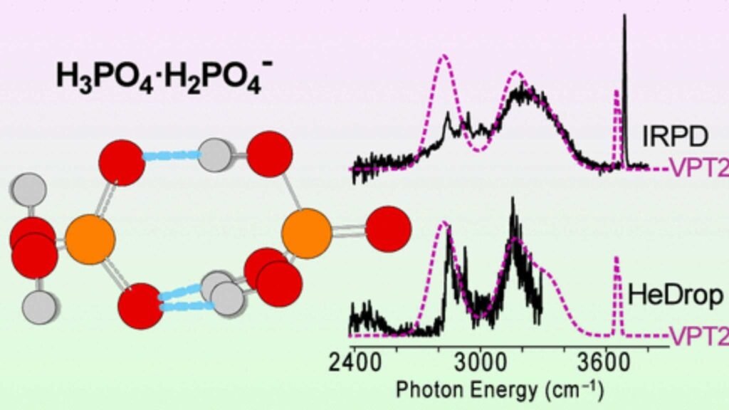 Moléculas fosfatadas conduzem prótons eficientemente; estudo revela estrutura chave e ligações de hidrogênio (Imagem: América Y. Torres-Boy et al./ J. Phys. Chem. A 2026, 130, 5, 993-1005/ CC BY-SA 4.0)