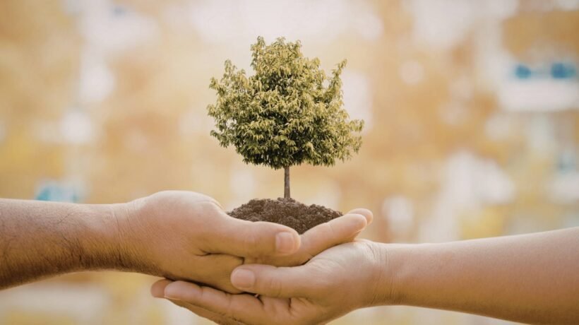 Sustentabilidade ambiental começa com pequenas escolhas feitas todos os dias (Imagem: Olivia Grigorita's Images via Canva)