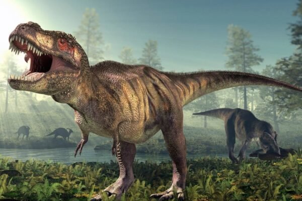 Vasos sanguíneos fossilizados revelam como um T. rex sobreviveu ferido (Imagem: Photo Library via Canva)