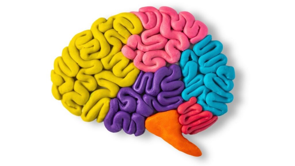 Sildenafila mostra melhora na função cerebral em estudo. (Foto: Getty Images via Canva)