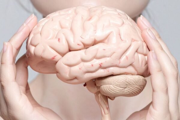 Estudos ligam ervas à saúde cerebral. (Foto: TrueCreatives via Canva)