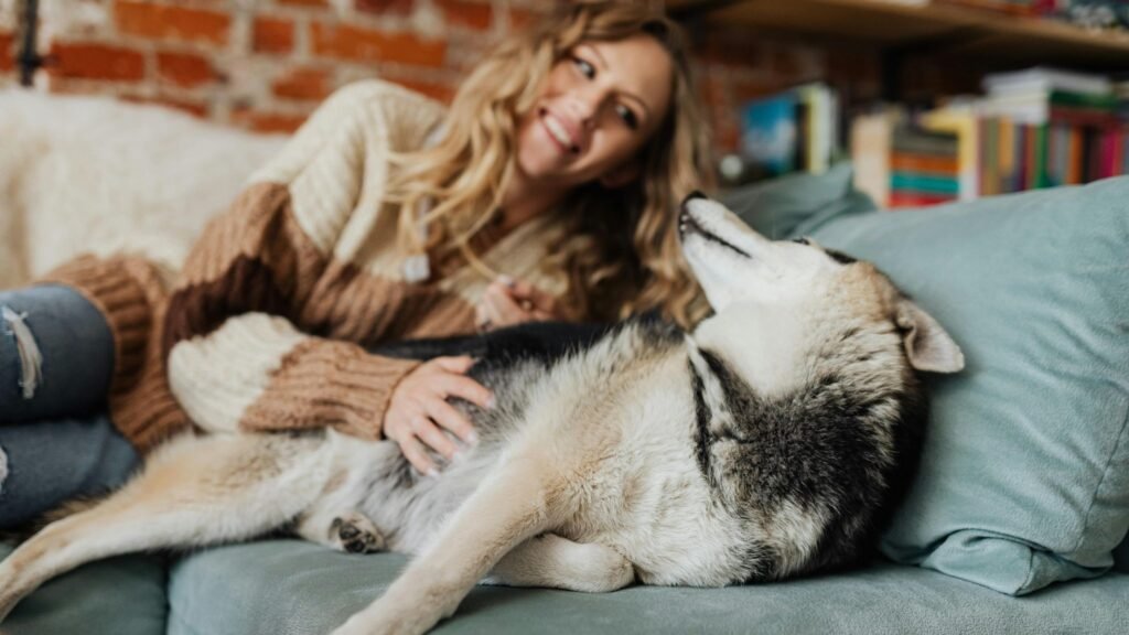 Vínculo com tutor reduz estresse dos pets. (Foto: Pexels via Canva)