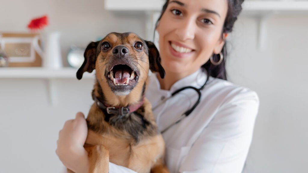 Avaliação com dados reais melhora a precisão. (Foto: Getty Images via Canva)