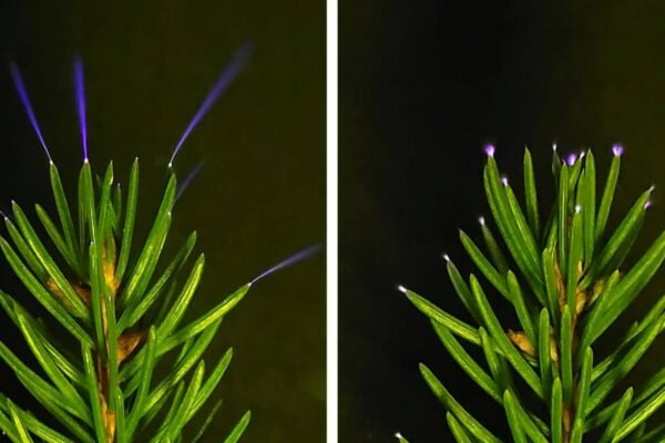 Em laboratório escuro, o brilho elétrico aparece; ao ar livre, quase invisível (Imagem: William Brune / Penn State)