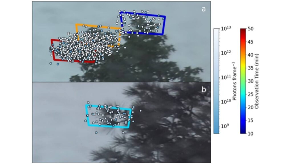 Sinais UV de descargas corona foram registrados em árvores durante tempestade intensa de 2024 (Imagem: PJ McFarland, WH Brune, DO Miller, JM Jenkins, Geophysical Research Letters, CC BY-SA 4.0)
