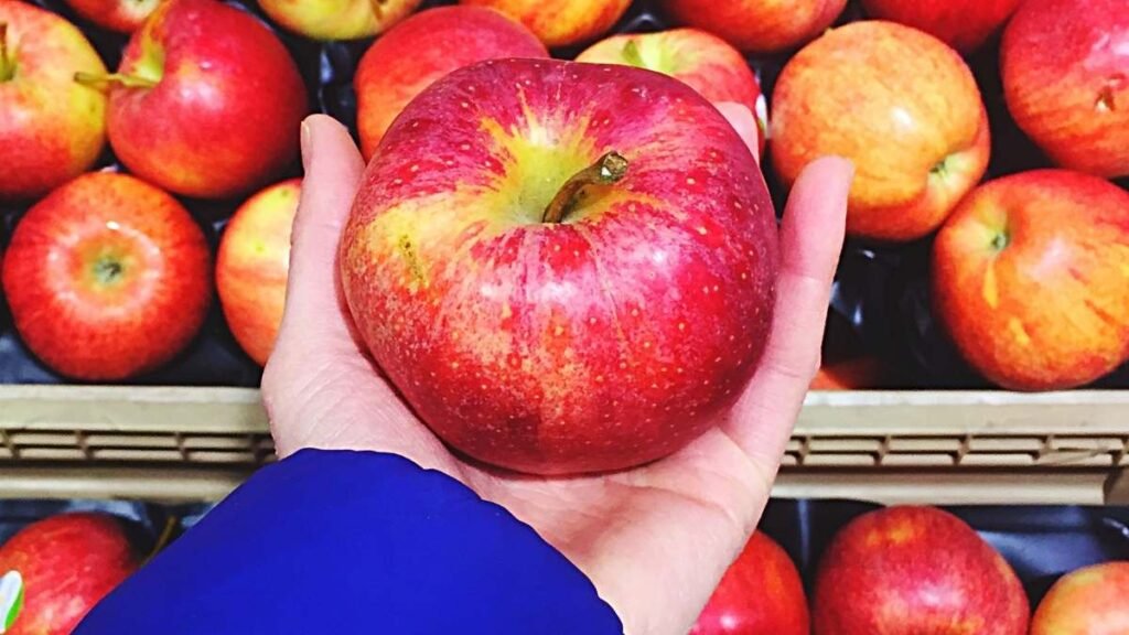 Tecnologia sem agrotóxicos promete reduzir desperdício de frutas e legumes (Imagem: Getty Images via Canva)
