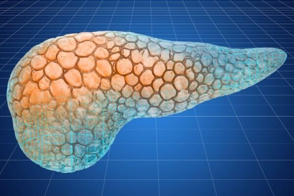 Falha na transparência levou à despublicação. (Foto: Alexlmx via Canva)