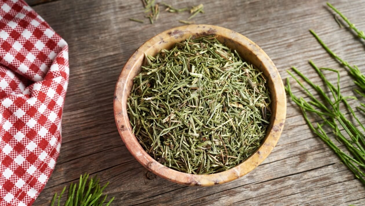 Cavalinha é conhecida pelo efeito diurético. (Foto: Getty Images via Canva)