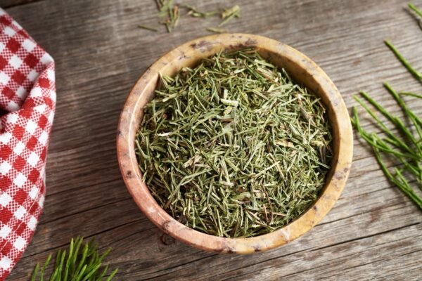 Cavalinha é conhecida pelo efeito diurético. (Foto: Getty Images via Canva)