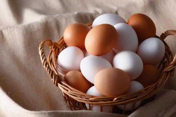 Consumo moderado de ovos beneficia o coração. (Foto: Aflo via Canva)