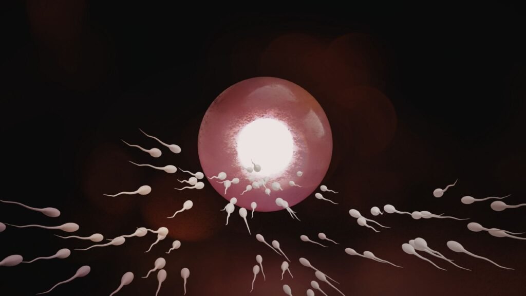 Técnica bloqueia fertilidade de forma temporária. (Foto: Sofia Gabureanu via Canva)