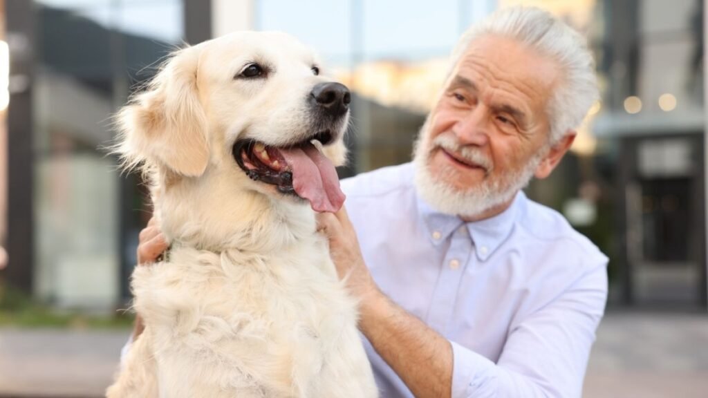 Rotina com animais favorece saúde mental em idosos. (Foto: Africa Images via Canva)