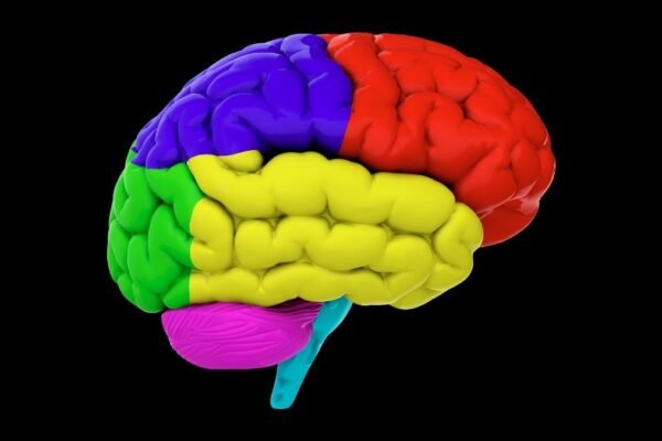 Dieta saudável após os 60 protege o cérebro. (Foto: Vasabii via Canva)