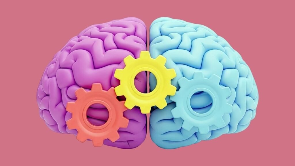 Cérebro pode ficar mais “automático” com dieta rica em gordura. (Foto: Citeprojects via Canva)