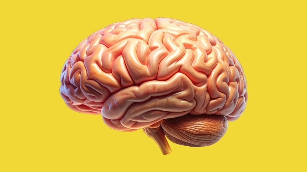 Frutose pode alterar energia e atividade do cérebro. (Foto: Vistastudio via Canva)