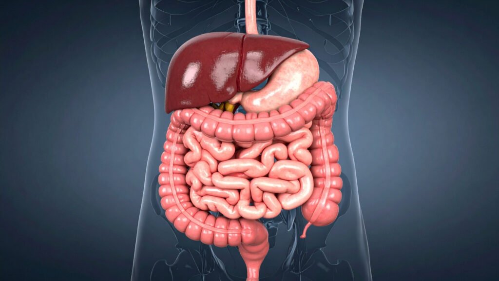 Dormir mal prejudica a regeneração intestinal. (Foto: TrueCreatives via Canva)