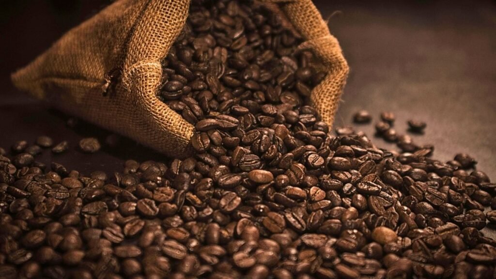 Rotina com animais favorece saúde mental em idosos. (Foto: Africa Images via Canva)