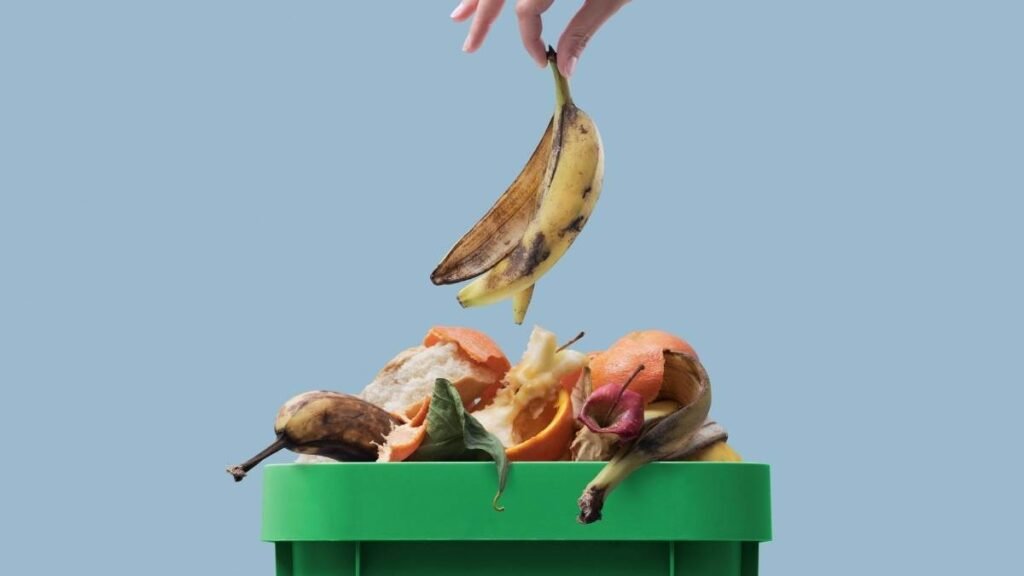 O descarte correto do lixo orgânico transforma resíduos em sustentabilidade. (Imagem: Getty Images via Canva)
