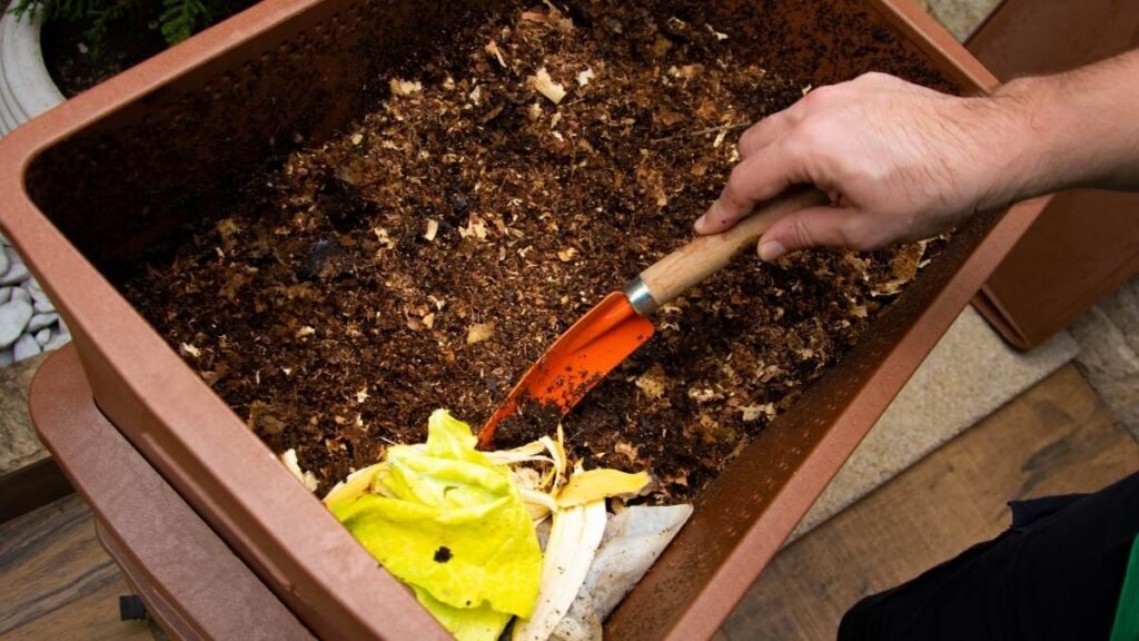 Pequenas atitudes com lixo orgânico geram grandes impactos ambientais. (Imagem: Getty Images via Canva)
