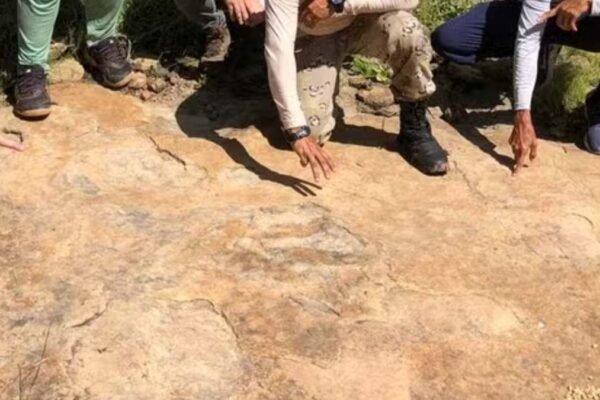 Maior pegada de dinossauro do Brasil foi encontrada no Sertão da Paraíba (Imagem: Divulgação)