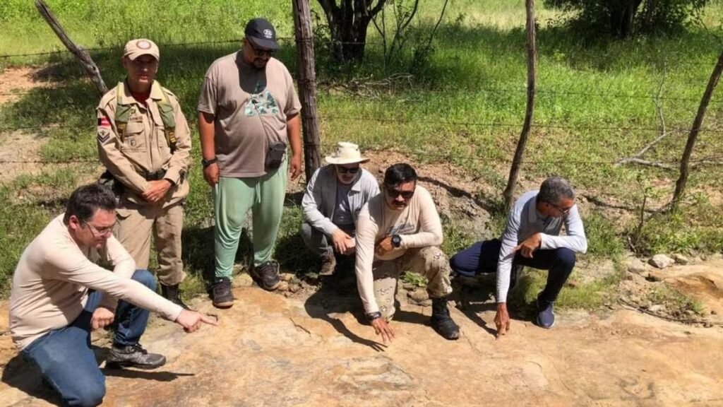 Descoberta gigante reforça a importância paleontológica do Vale dos Dinossauros (Imagem: Divulgação)
