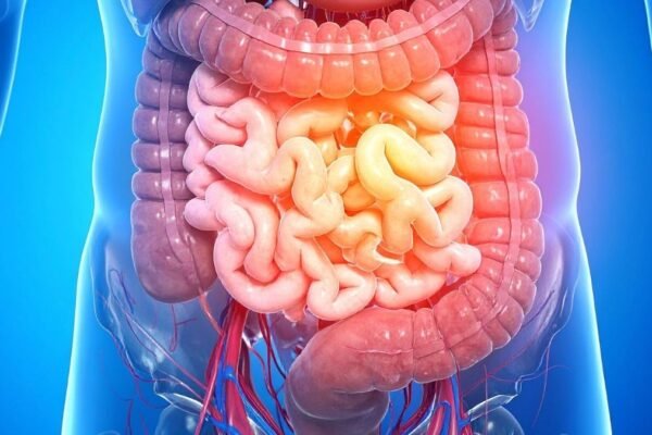 Intestino pode influenciar a memória com a idade. (Foto: TrueCreatives via Canva)